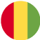 guinea flag image